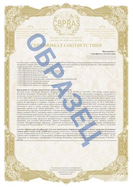Образец Приложение к СТО 01.064.00220722.2-2020 Ефремов Сертификат СТО 01.064.00220722.2-2020 